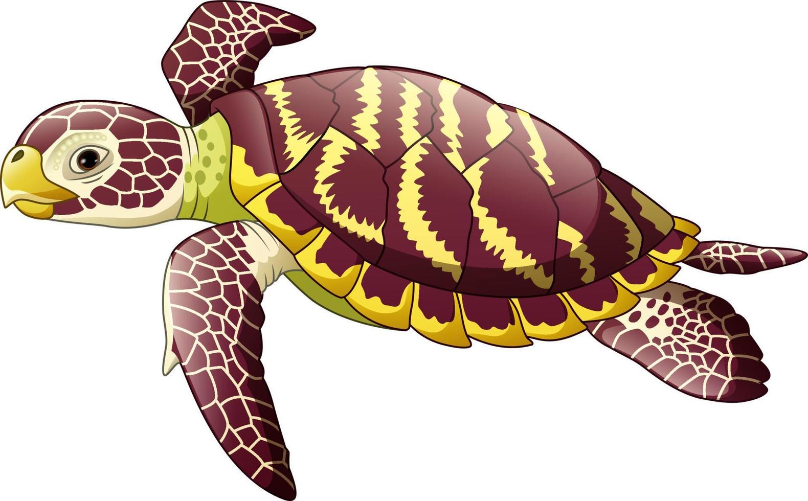 tecknad havssköldpadda isolerad på vit bakgrund vektor