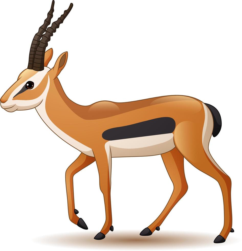 tecknad antilop isolerad på vit bakgrund vektor