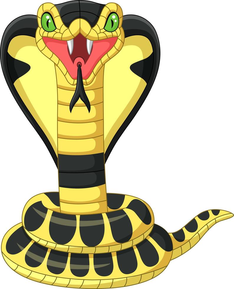 Cartoon-Königskobra-Schlangenmaskottchen vektor