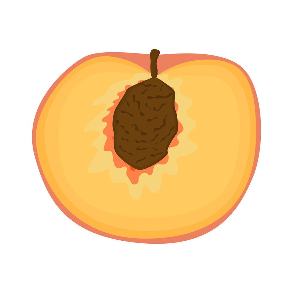 söt persika vegansk frukt vektor platt isolerad illustration