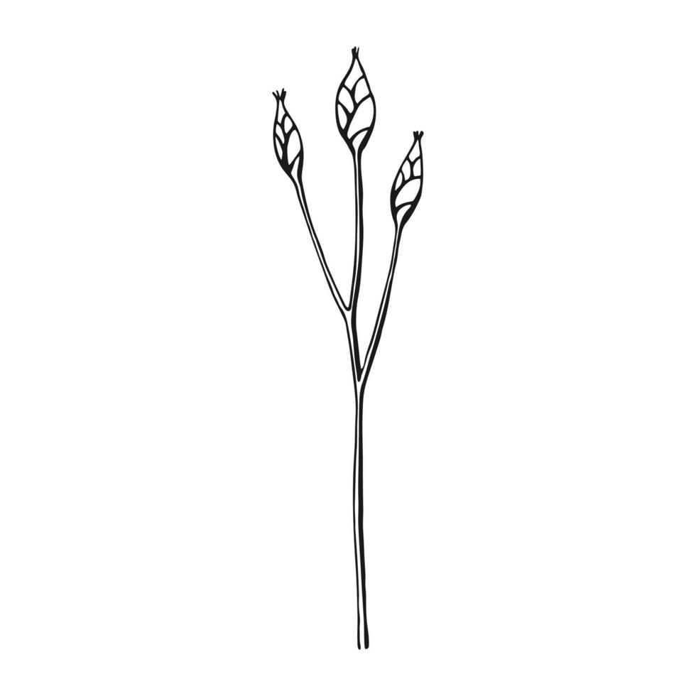 wilde Blumen. handgezeichnete florale Elemente. Vektor-Illustration. vektor