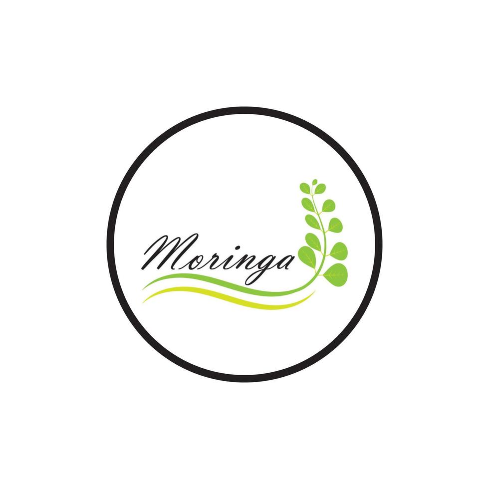 Moringa-Blatt-Logo-Illustrationsvektordesign vektor