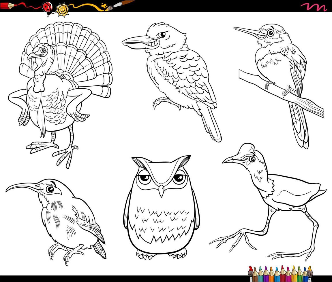 tecknade fåglar djur karaktärer ange målarbok sida vektor