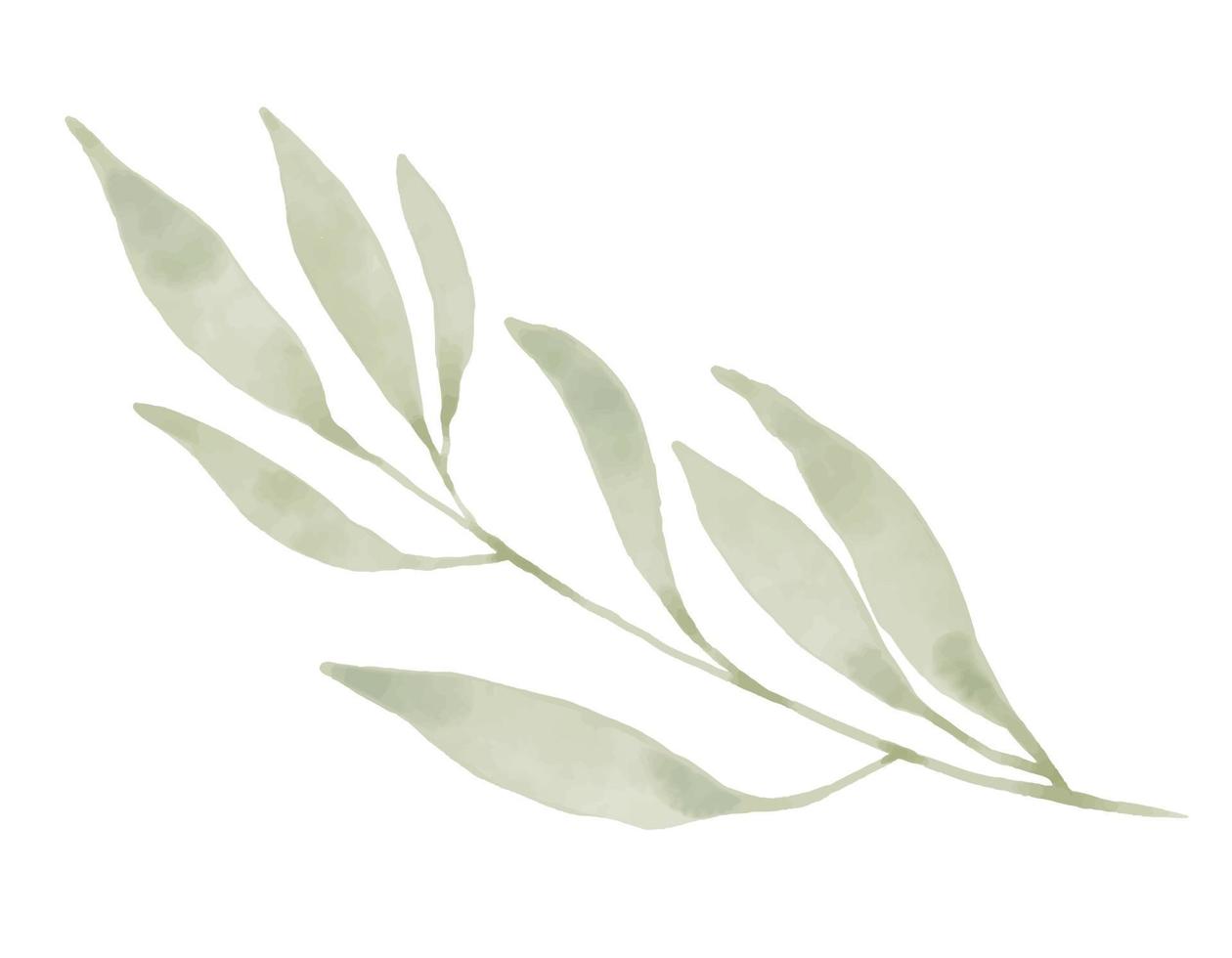 grön vektor gren på vit isolerad bakgrund. handritad illustration av abstrakt växt för bröllopsinbjudningar eller gratulationskort. imitation av akvarell