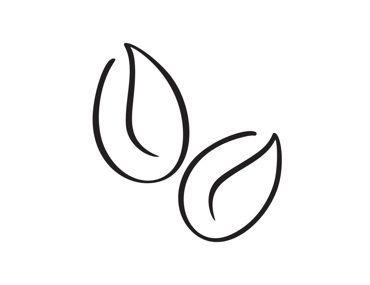 Vektor-Kalligrafie-Logo zwei Kaffeebohne. kalligraphische schwarz-weiß-illustration. handgezeichnetes design für symbolcafé, menü, textilmaterial vektor