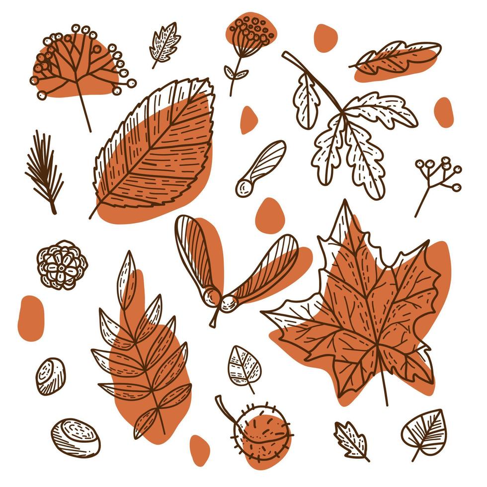 Vektorsatz botanischer Herbstelemente in den Farben Braun und Orange. handgezeichnete Doodle-Blätter. vektor