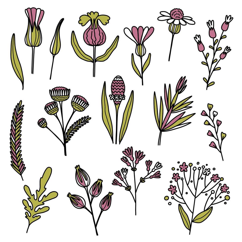 Blumengrafikdesign. Vektor-Set von floralen Elementen mit handgezeichneten Blumen mit rosa und grünen Farben vektor