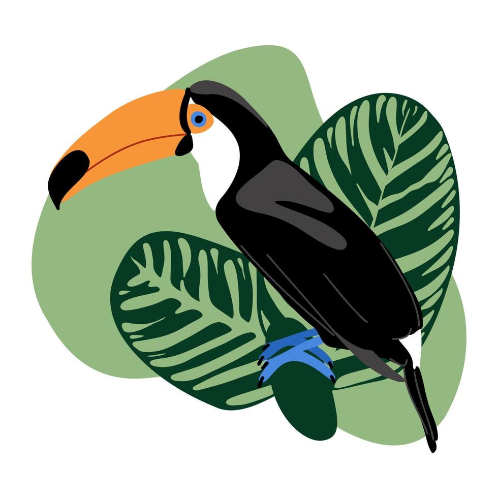 sommerkarte mit tukan- und calathea-blättern auf abstraktem stellenhintergrund, tropischer exotischer vogel mit großem schnabel und grünem dschungel verlässt vektorillustration vektor