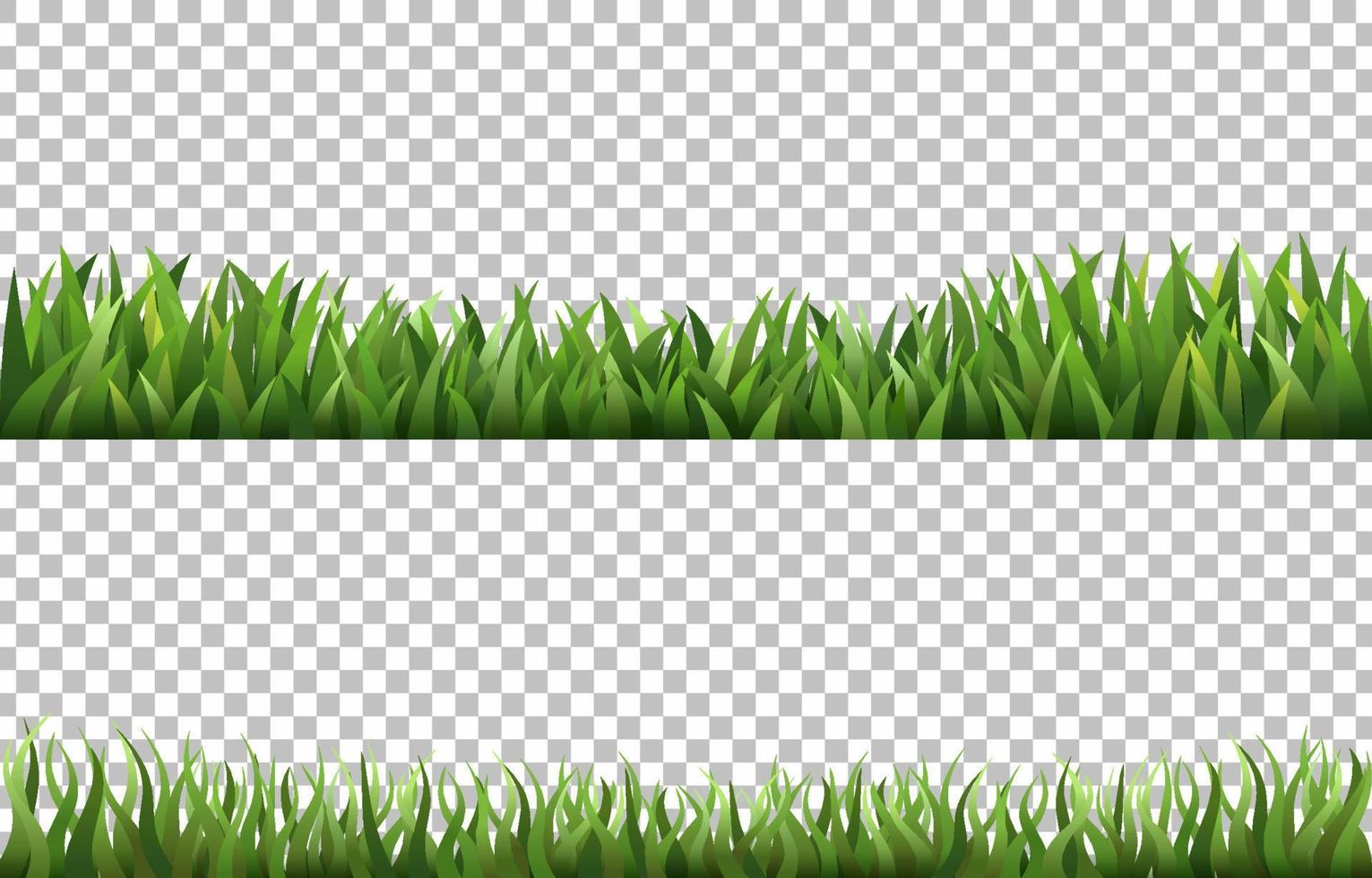 satz transparenter hintergrund des grünen grases vektor