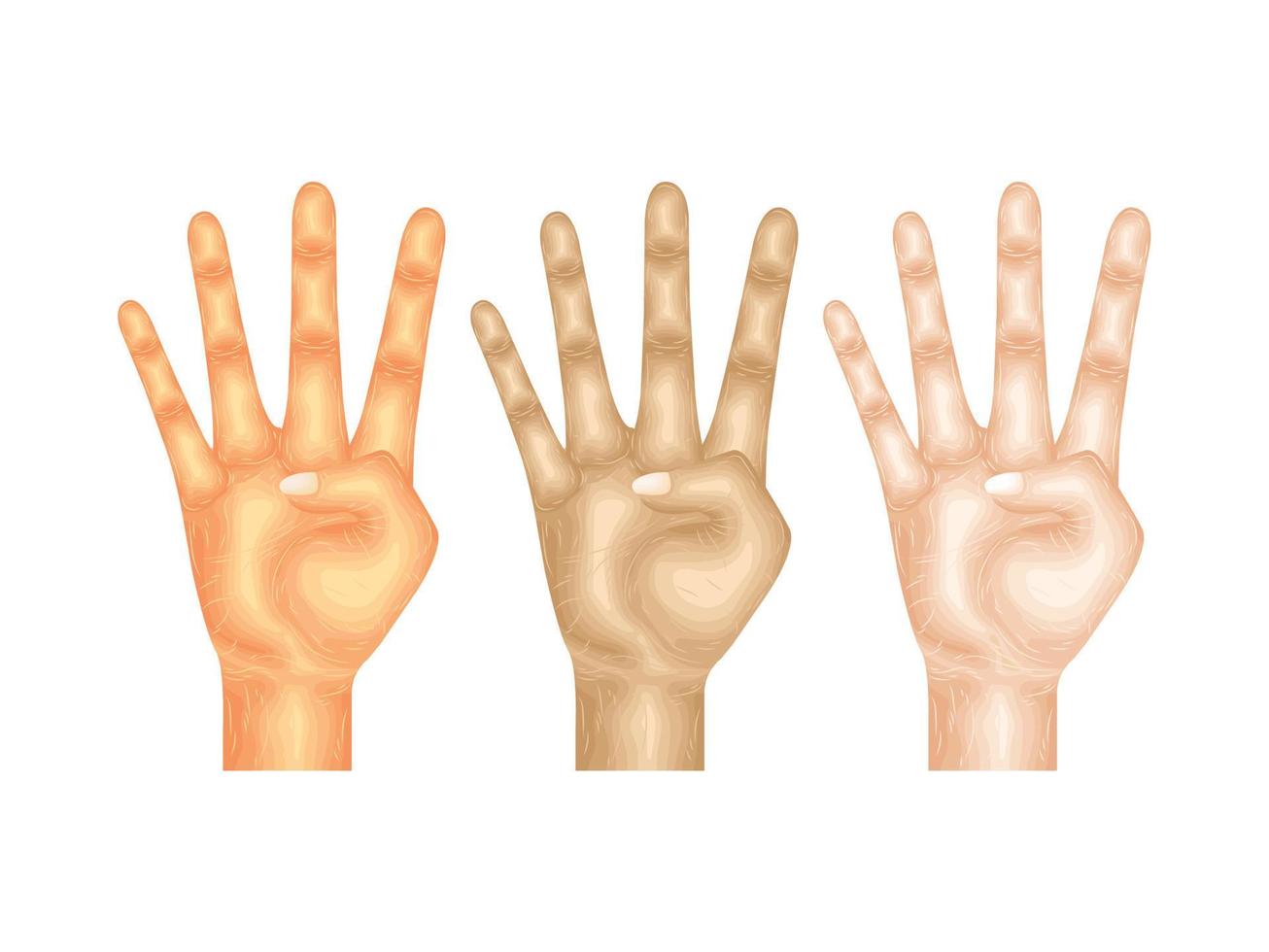 gest språk hand vektor kropp arm tecken finger del modell anatomi samling hud mänsklig idé upp