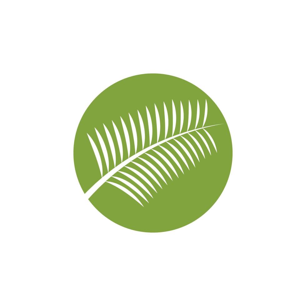 palm tree leaf illustration logotyp mall vektor design