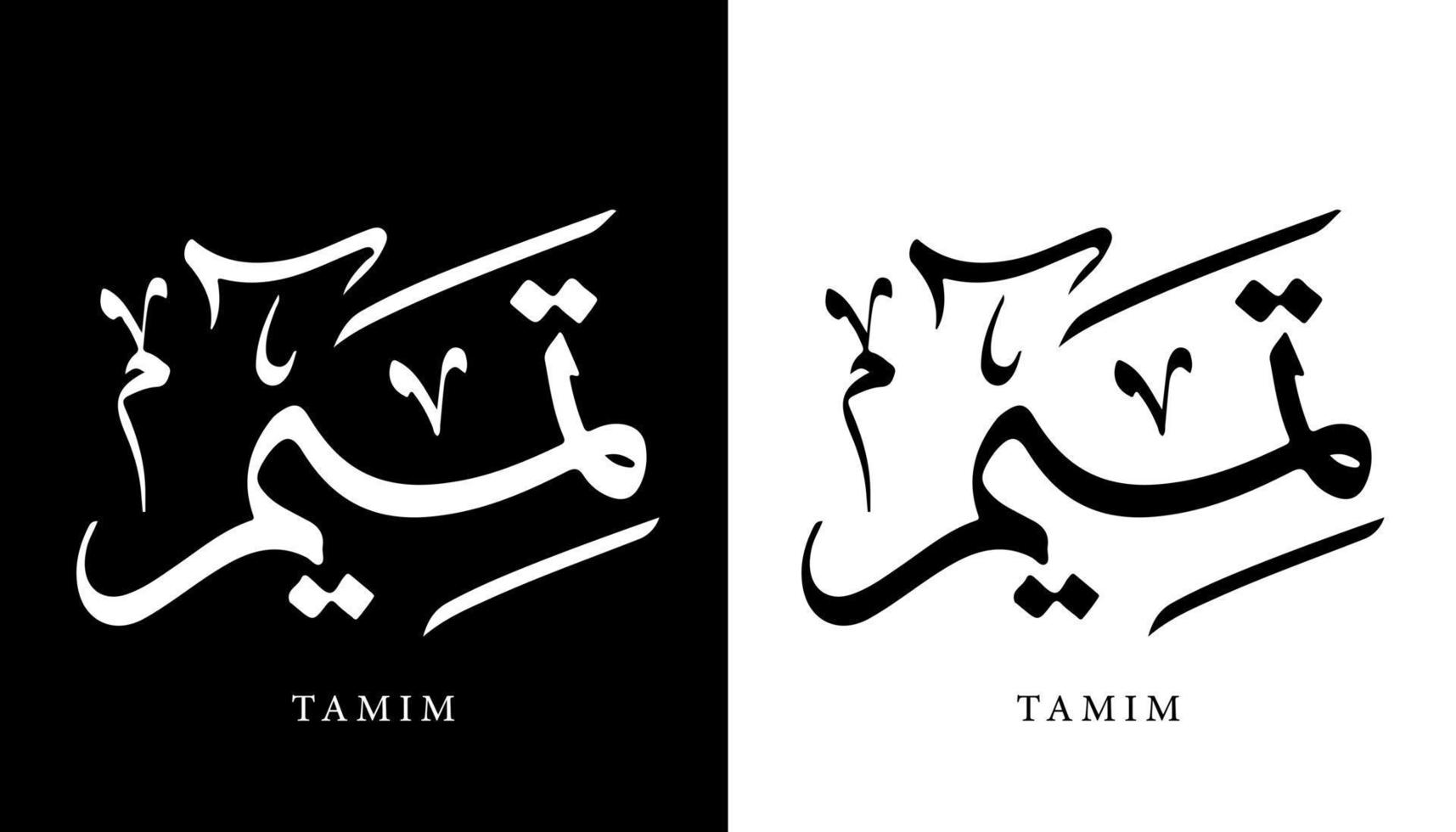 Name der arabischen Kalligrafie übersetzt "tamim" arabische Buchstaben Alphabet Schriftart Schriftzug islamische Logo Vektorillustration vektor