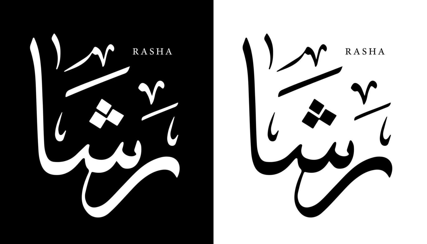 arabisk kalligrafi namn översatt 'rasha' arabiska bokstäver alfabet teckensnitt bokstäver islamisk logotyp vektorillustration vektor