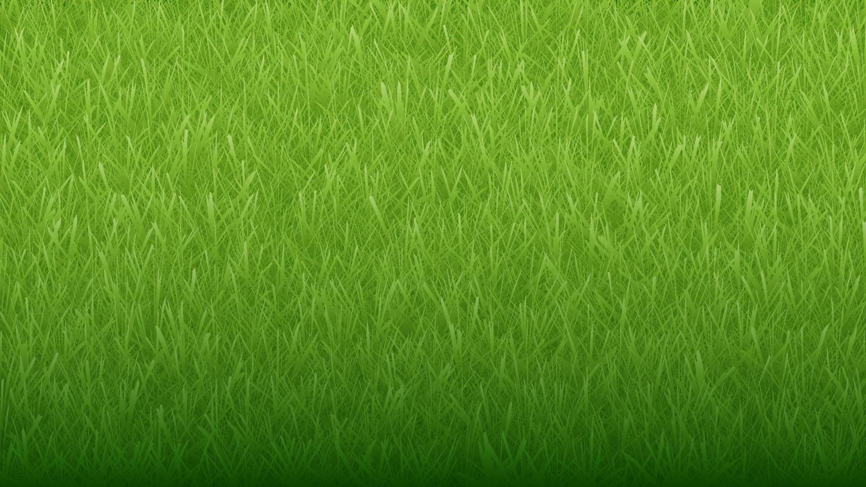 grönt naturligt organiskt gräs bakgrund och textur vektor