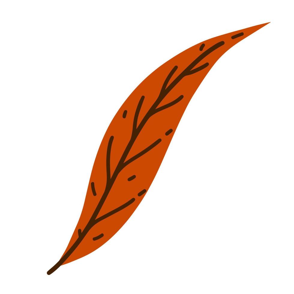 Herbstblatt-Vektor-Symbol. handgezeichnete geäderte Pflanze auf einem Stiel. flache karikaturcliparts lokalisiert auf weißem hintergrund. Botanische Illustration des Herbstes, rotes Weidenblatt, Birke, Kirsche. Gartenbaumelement vektor
