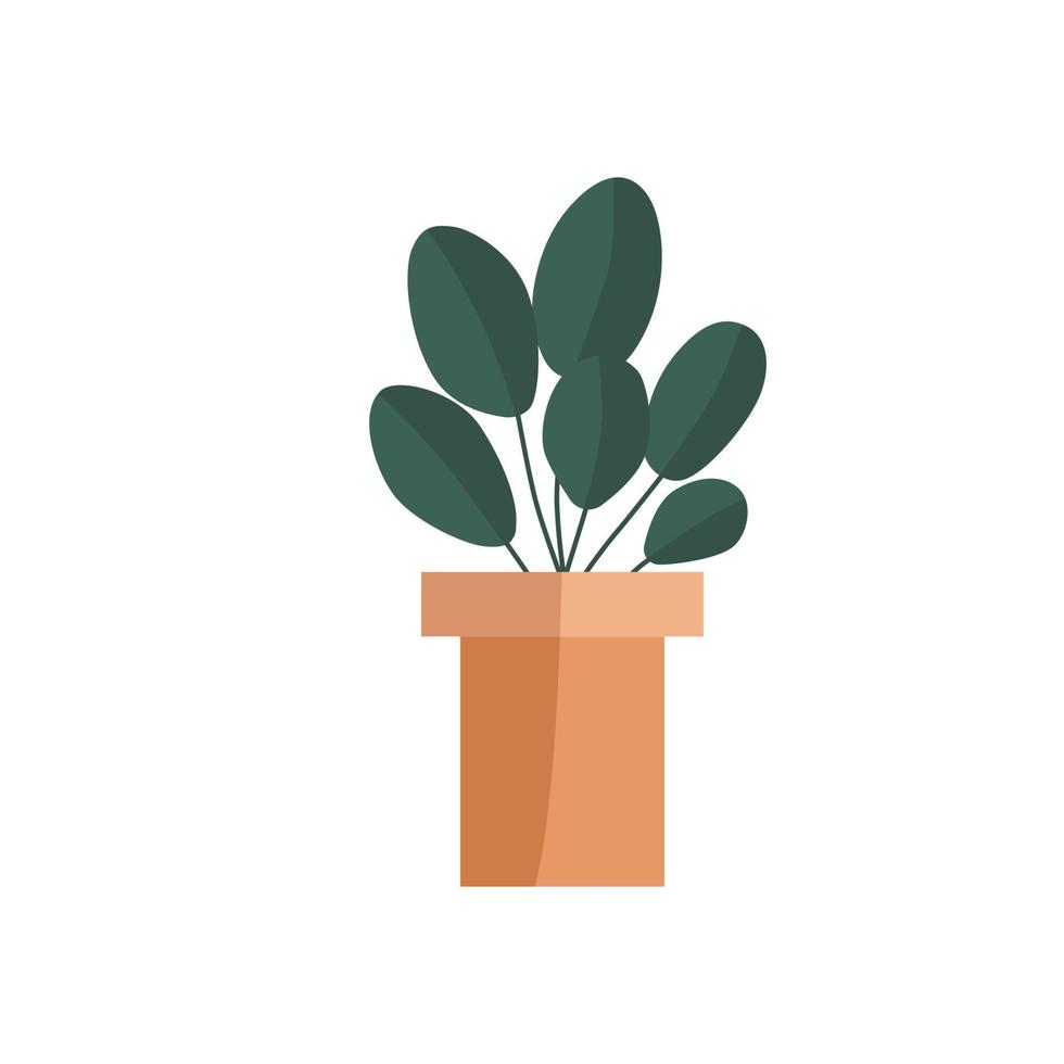 Pflanzen im Topf. hand gezeichneter flacher vektor. Pflanzen Illustration isoliert auf weißem Hintergrund. vektor