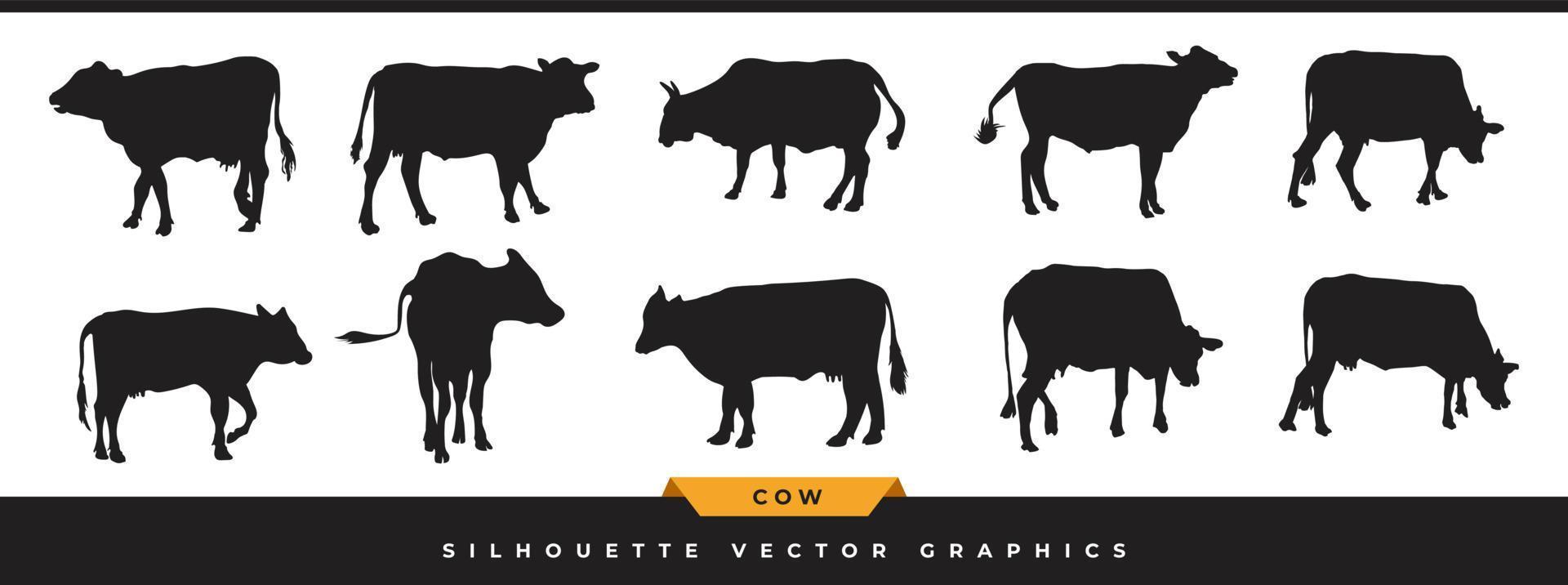 ko siluett samling. stor uppsättning boskap, nötkreatur siluett ikoner. handritad bondgårdsdjur vektorillustration i olika poser isolerad på vit bakgrund. vektor
