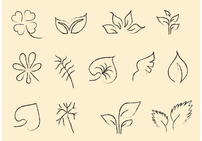 Sketchy Leaf Vector Set