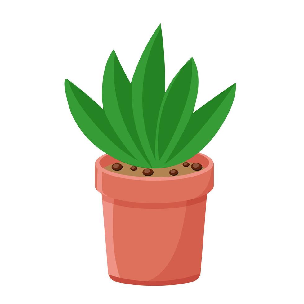 Aloe im Topf isolierter Vektor