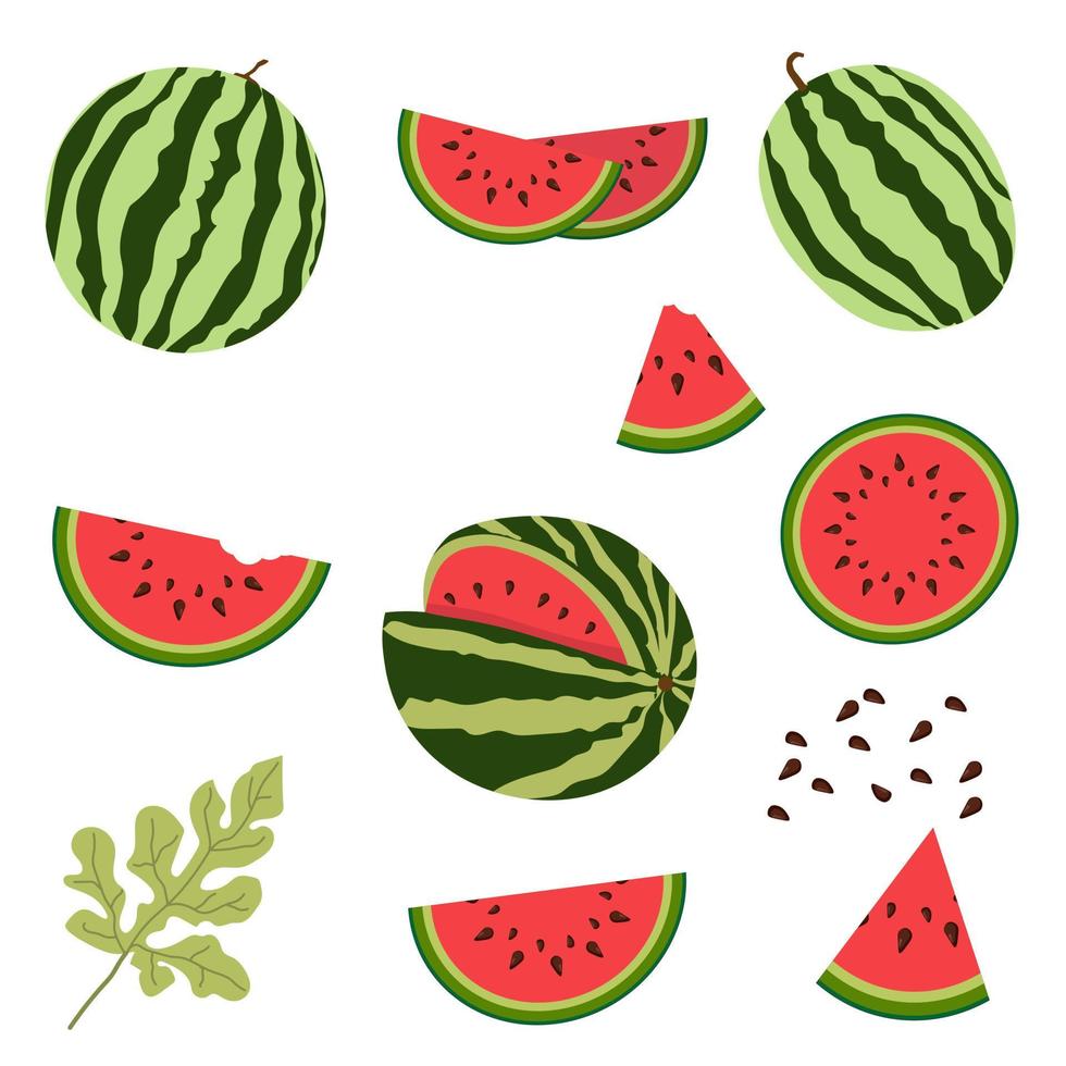 satz von vektorillustrationen der flachen wassermelone. ganze Wassermelone, geschnittene Wassermelone, Wassermelonenscheiben vektor