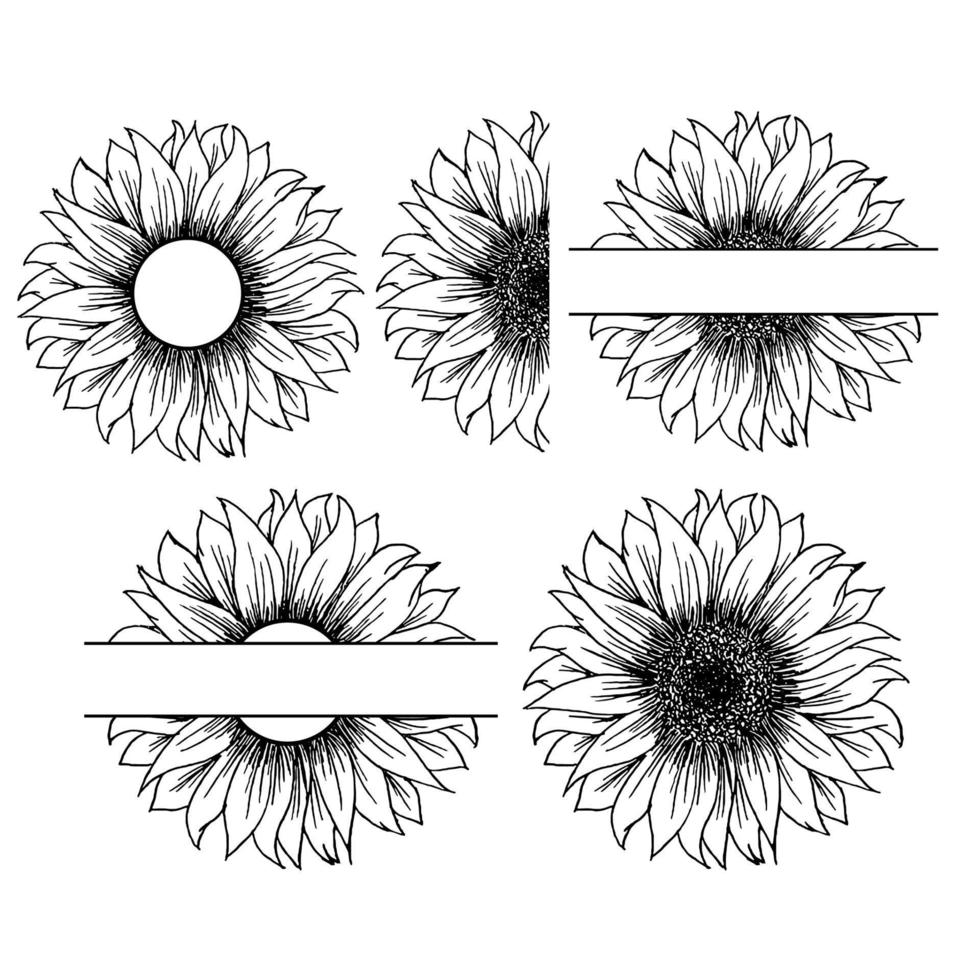 Sonnenblumen-Vektorgrafik-Clipart-Design vektor