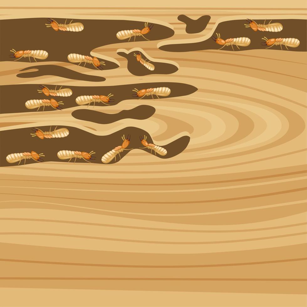 vektorillustration, trämöbler ätit av termiter, vetenskapligt namn isoptera. vektor