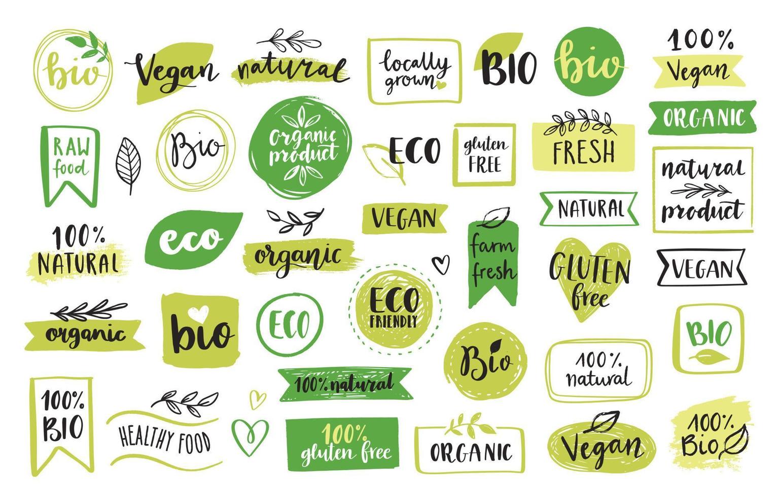 Symbole und Elemente für Bio-Lebensmittel, Öko, Veganer und Naturprodukte für den Lebensmittelmarkt, E-Commerce, Verpackungen von Bio-Produkten, Förderung eines gesunden Lebens, Restaurant. handgezeichnete Vektordesign-Elemente. vektor