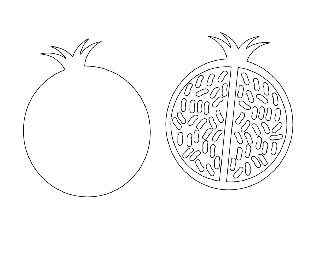Granatapfel-Illustration. Granatapfelfruchtvektor. vektor