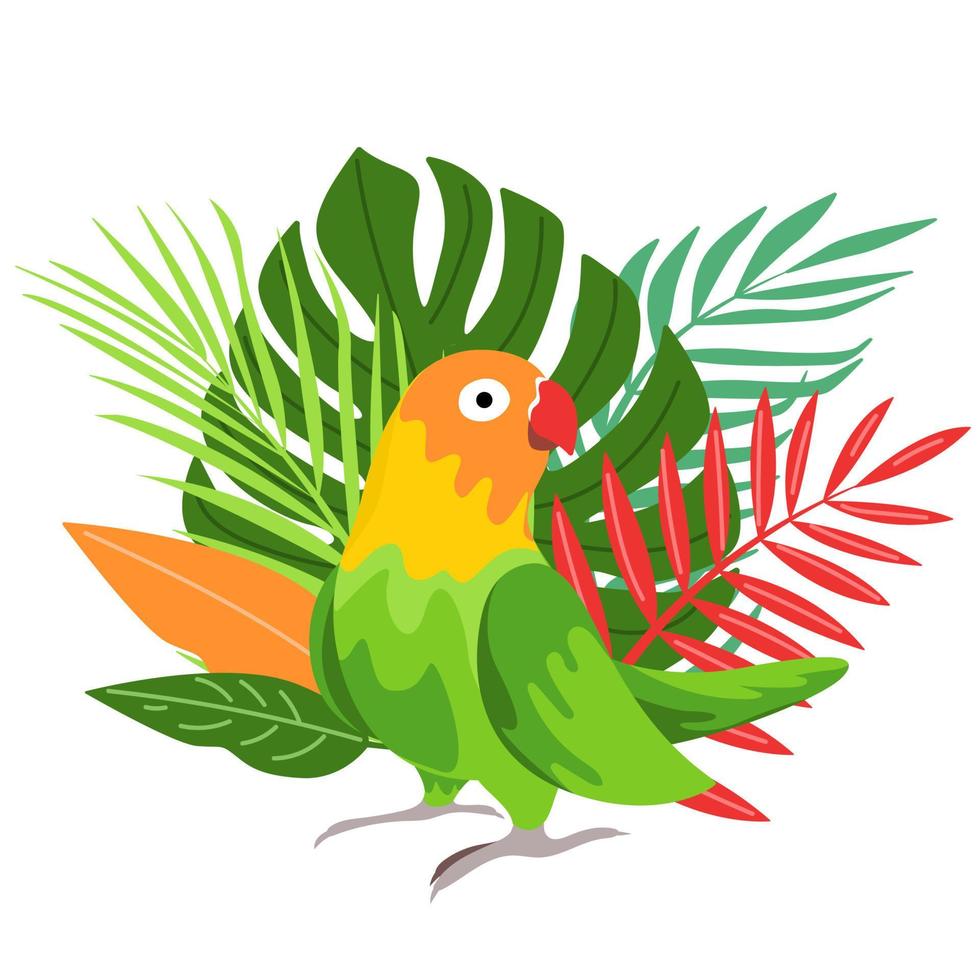 söta tecknade papegojor illustrationer vektor