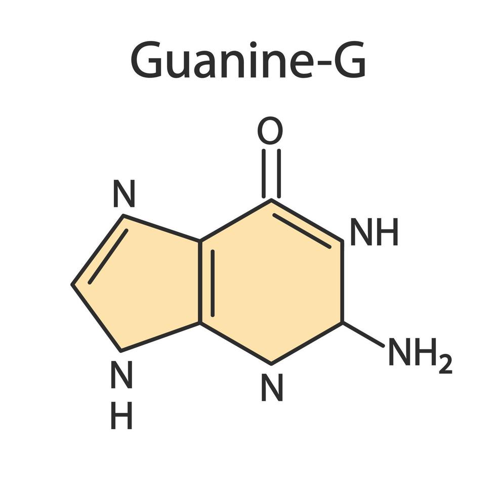 guanin purin nukleobasmolekyl. vektor