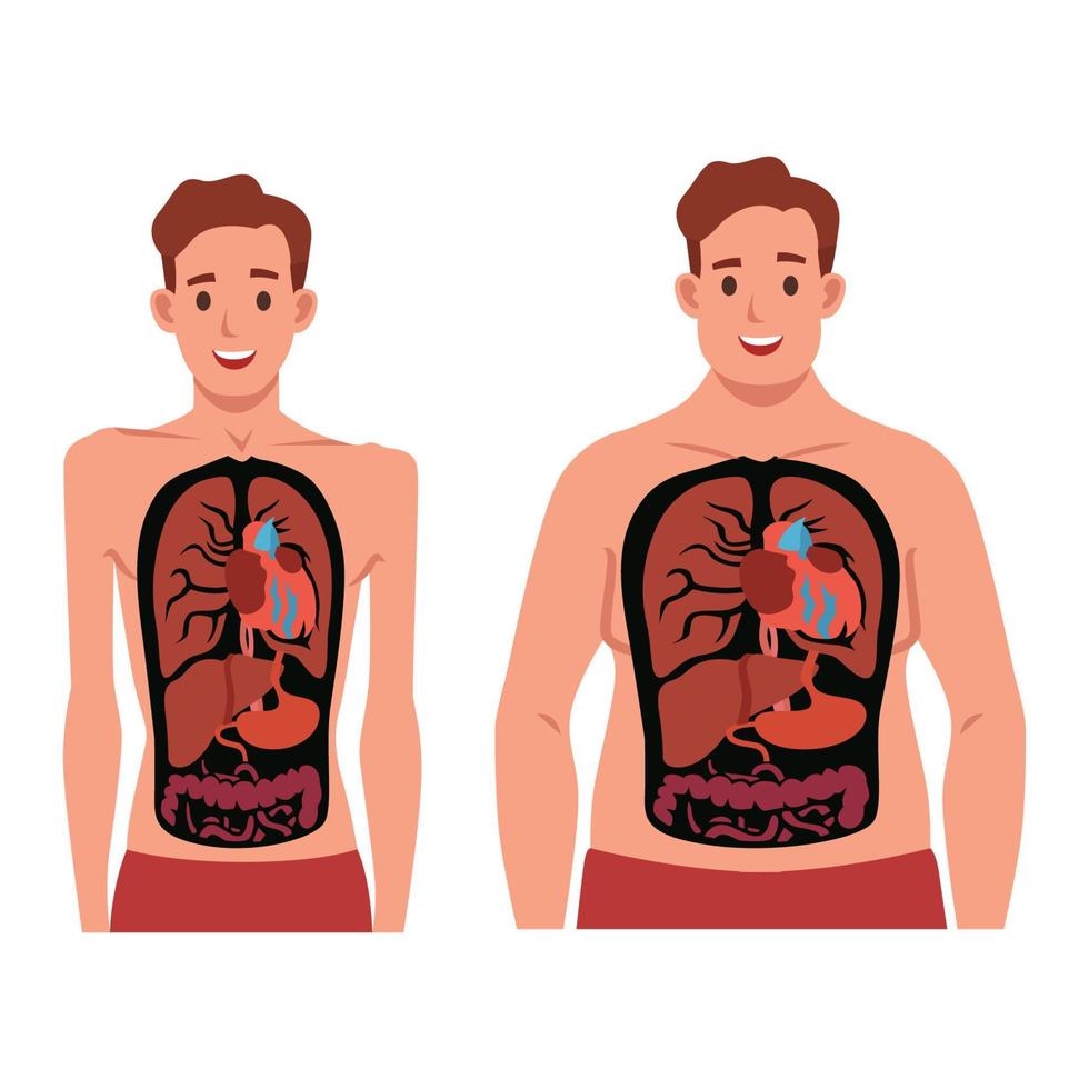 Fetter und dünner Mann im Körper. flache vektorillustration lokalisiert auf weißem hintergrund vektor