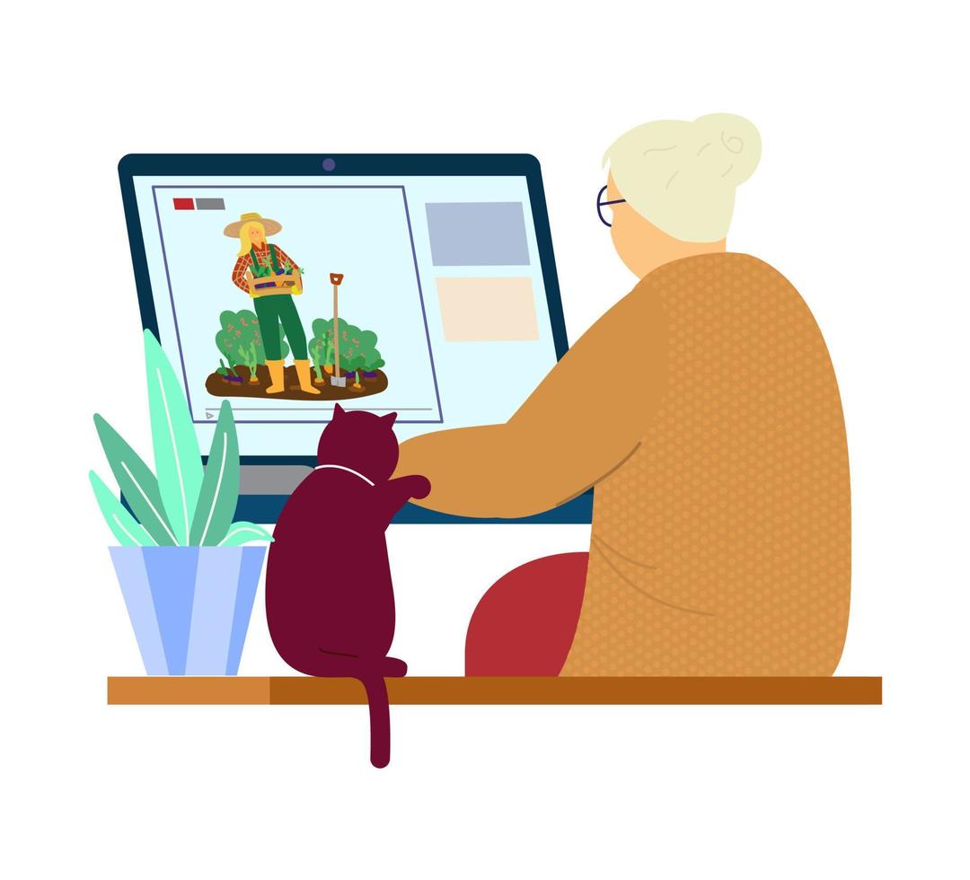 äldre kvinna med katt tittar på trädgårdsarbete blogg på laptop. platt vektorillustration. vektor