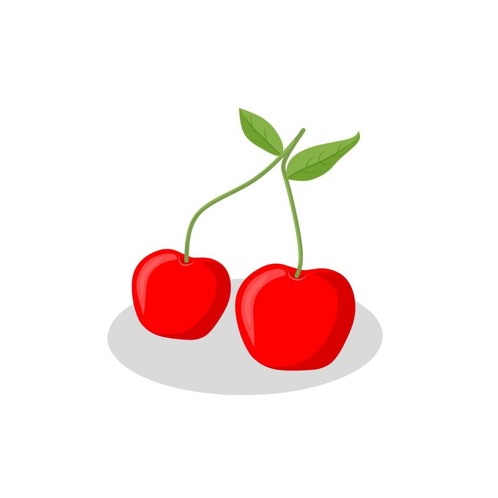 körsbärsfrukt illustration image.cherry frukt icon.fruits vektor