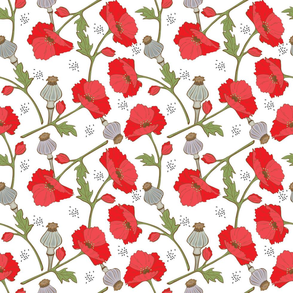 Muster Mohnblumen Samen und Mohnschoten, handgezeichnet im Doodle-Stil, weißer Hintergrund. Vektor-Illustration vektor