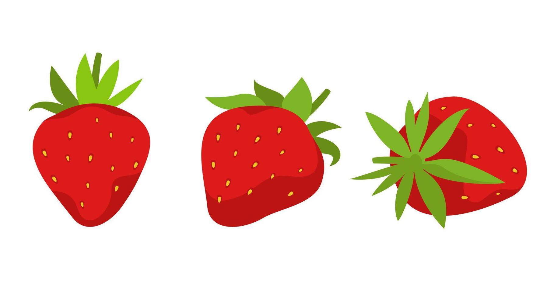 jordgubbe i olika vinklar. vektor
