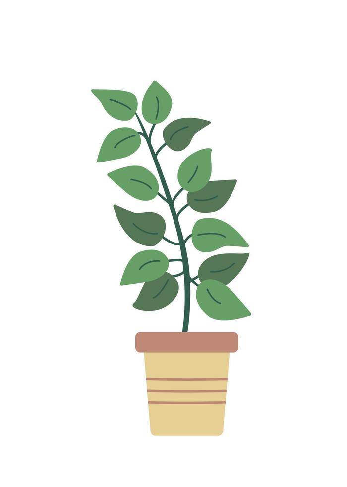 Ficus in einem Blumentopf. Vektor-Doodle-Blume mit Blättern für die Raumdekoration. vektor