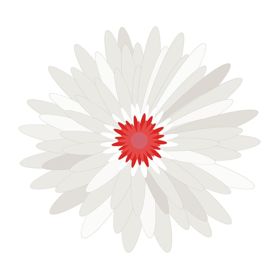 Daisy Flower Head Vektornatur, Pflanzen, Frühlingsdesign. bunte blume lokalisiert auf weiß, flache blumenmusterelemente vektor
