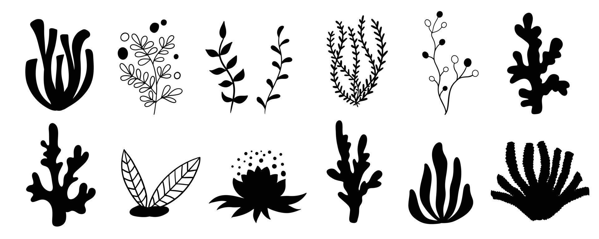 Set Meerespflanzen, Korallen und Algen. Silhouetten von Unterwasserriffpflanzen. Vektor im Cartoon-Stil.