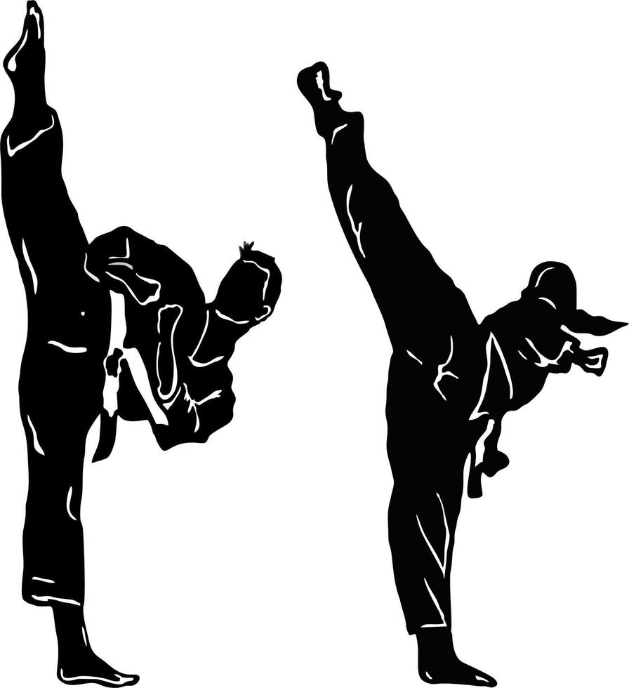 taekwondo kick vektor illustration