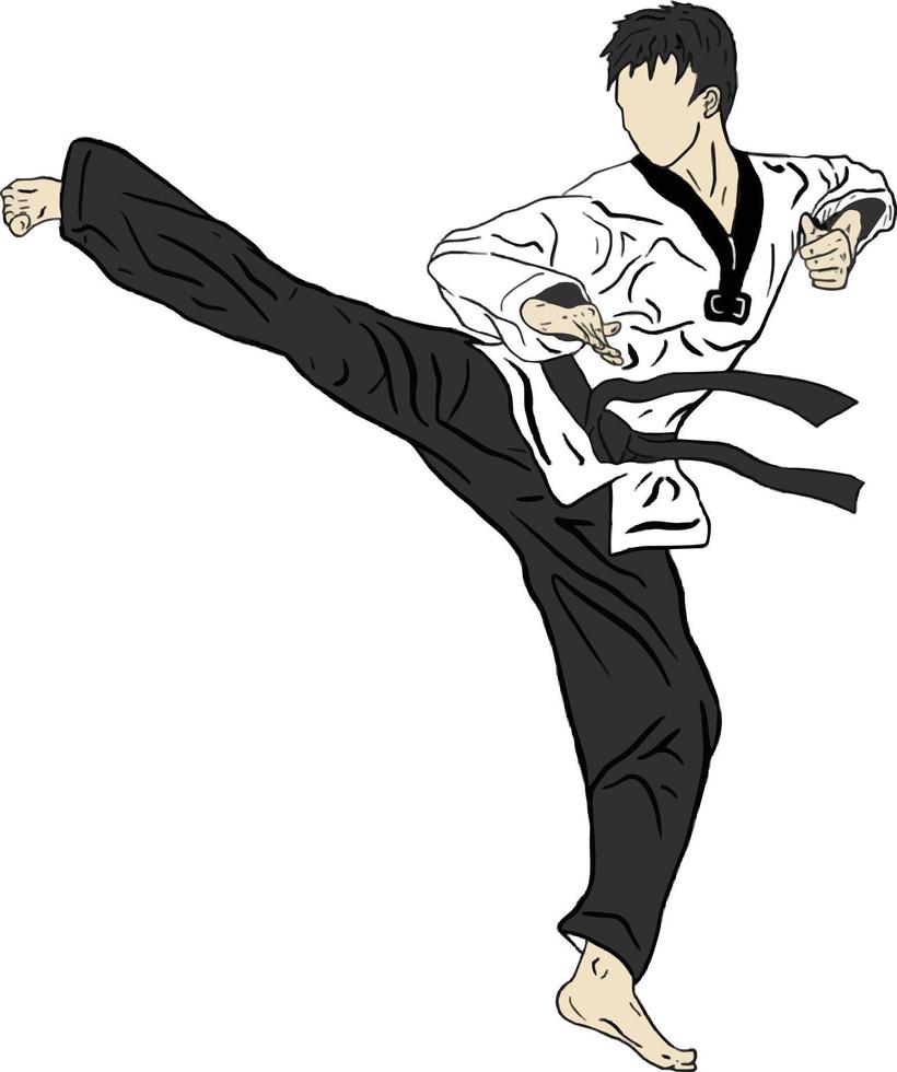 Taekwondo-Vektor-Kick-Pose und -Technik vektor