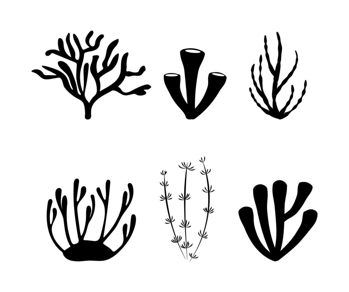 svarta silhuetter av havskoraller och alger vektoruppsättning vektor