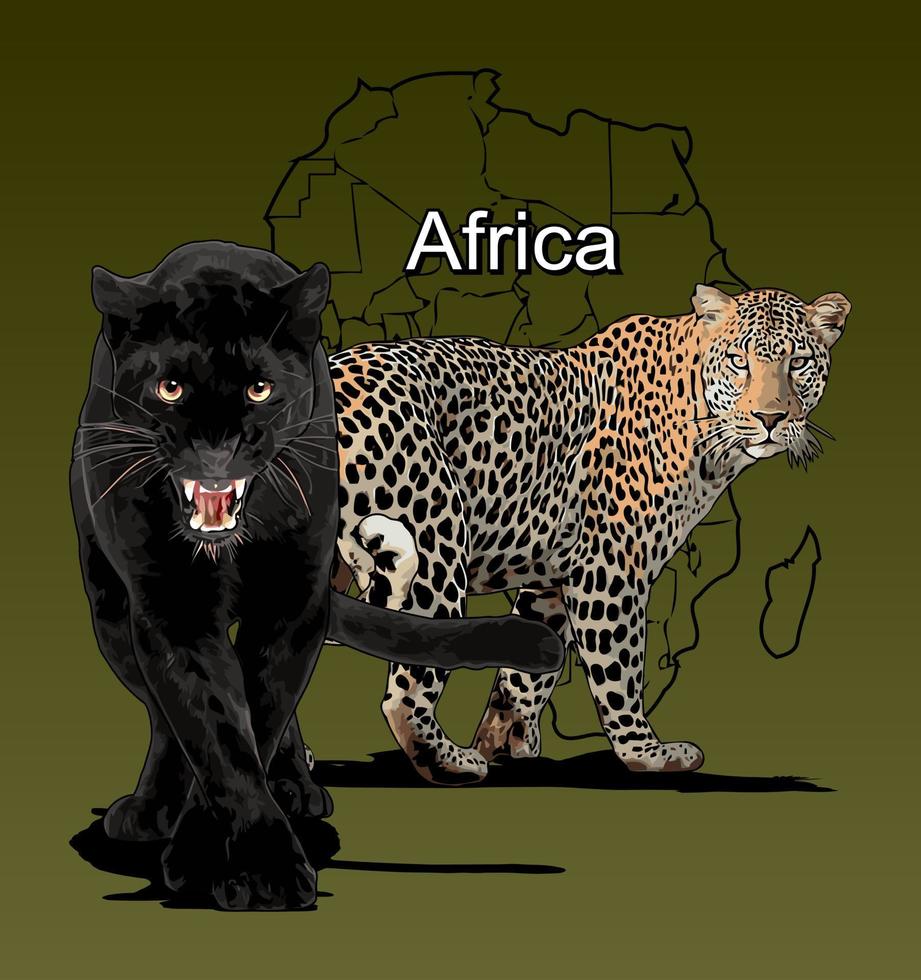 svart panter och leopard vektor