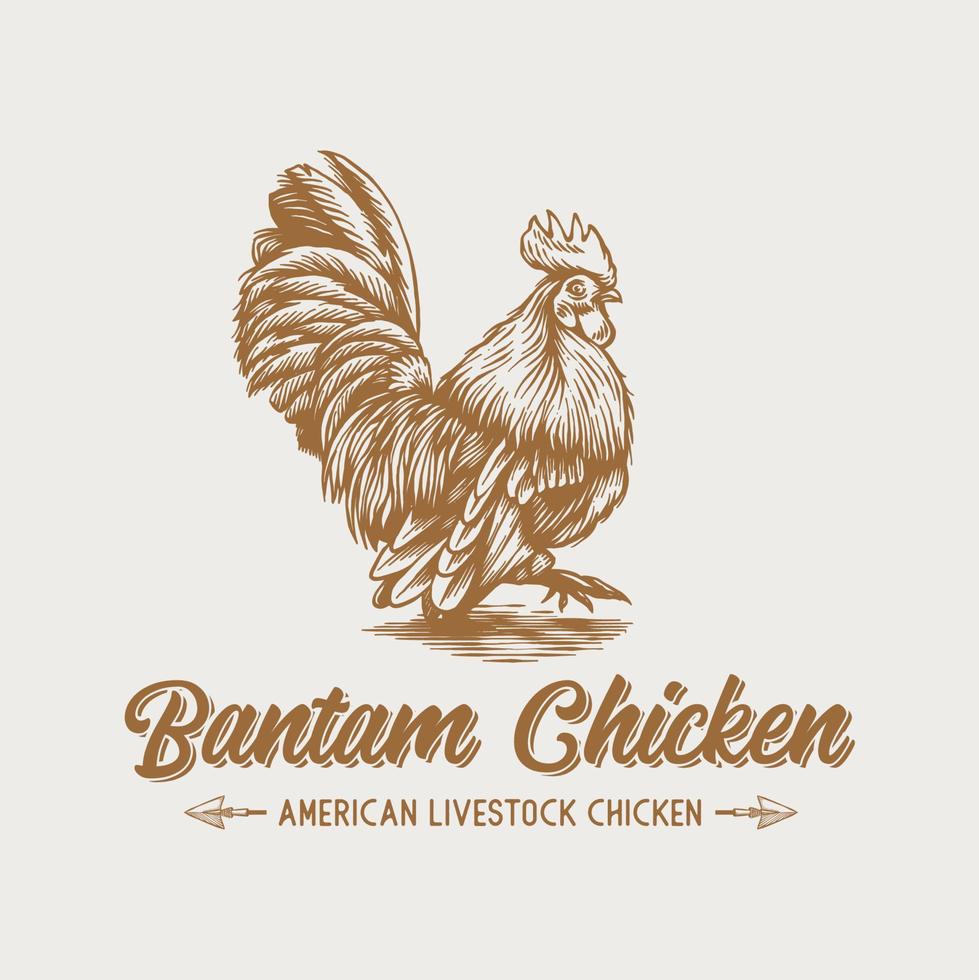 vintage retro bantam kyckling tupp handritad logotyp vektor