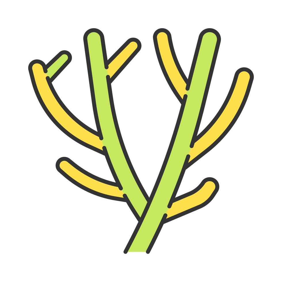 penna kaktus färgikon. afrikansk ökenväxt. indiska träd spurge. saftig. mjölkbuske. euphorbia tirucalli. isolerade vektor illustration