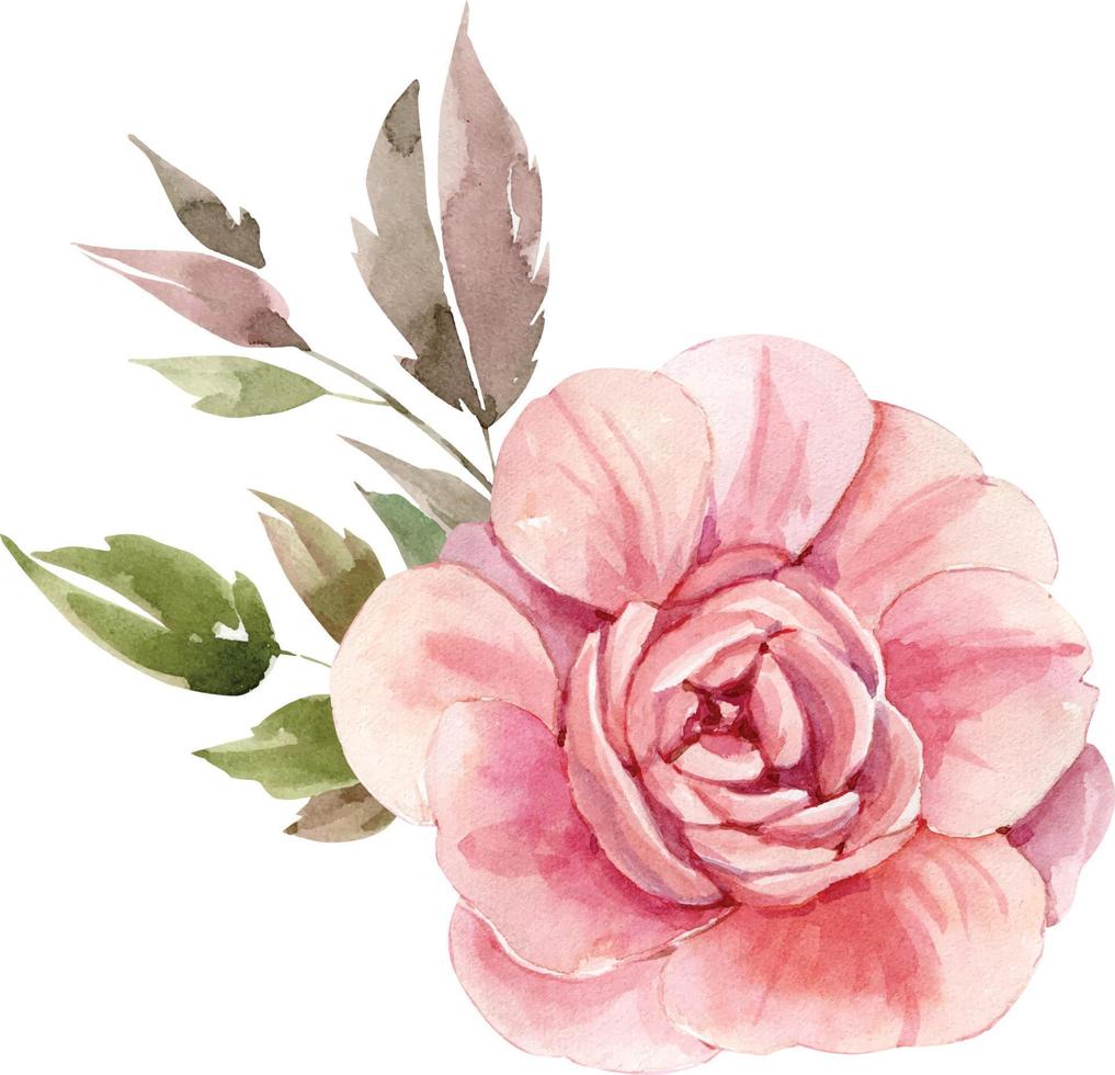 delikat akvarell ros blomma handmålade för vykort och design. vektor