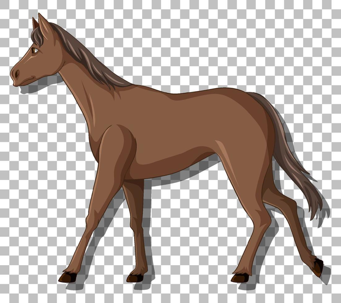 brun häst på rutnät bakgrund vektor