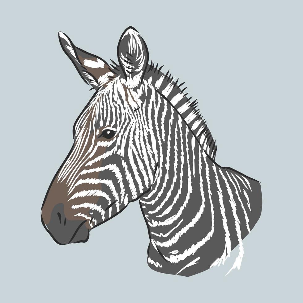 Zebra-Vektorskizze vektor