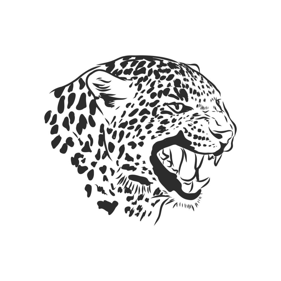 Leopardenvektorskizze vektor