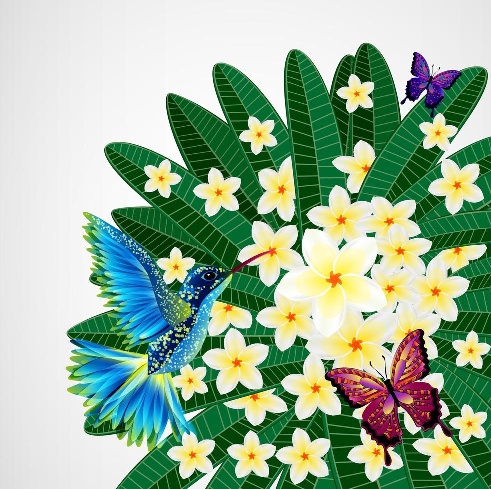 blommig design bakgrund. plumeria blommor med fågel, fjärilar. vektor