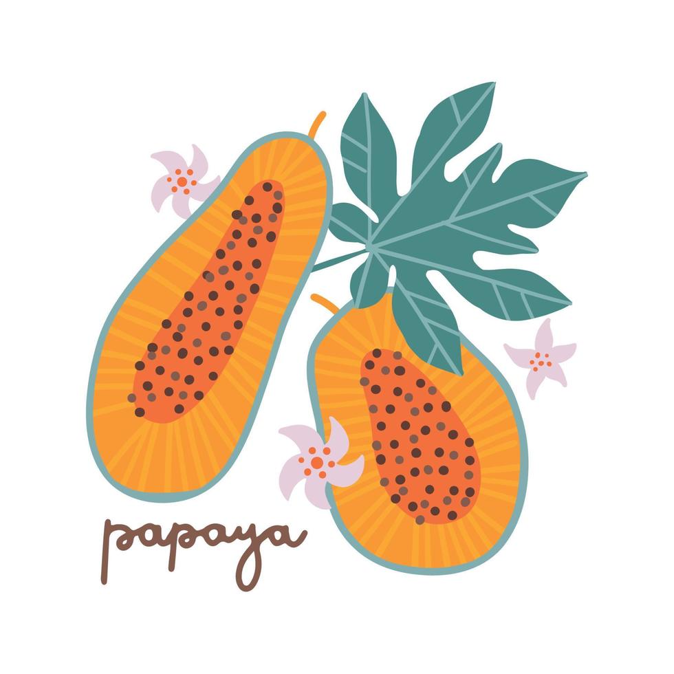 isoliertes Konzept von zwei Papayas und Papayablättern. gesunde Ernährung, exotische Früchte. handgezeichnete illustration im flachen stil mit beschriftungswort. vektor